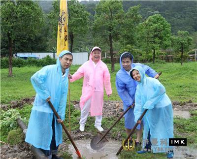 Tree planting -- The May 4th Youth Day tree planting activity was successfully held in Lion Forest of Phoenix Mountain news 图10张